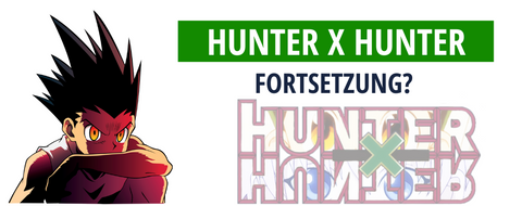 Hunter x Hunter Fortsetzung